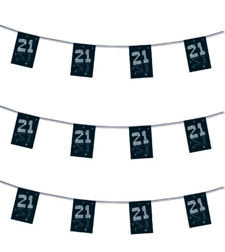 (image for) Black & White Age 21 Bunting