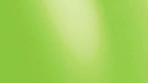 Lime Green Sempertex Balloons