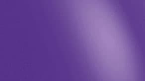 Purple Sempertex Balloons