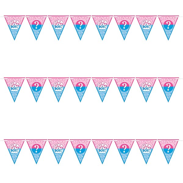 (image for) Girl Or Boy Pennant Bunting