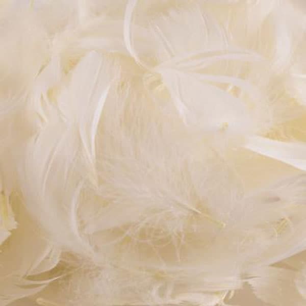 (image for) Ivory Feathers 50g