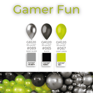 (image for) Gamer Fun