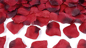 (image for) Valentines Day Rose Petals & Confetti