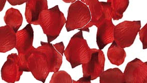 Valentines Day Rose Petals & Confetti