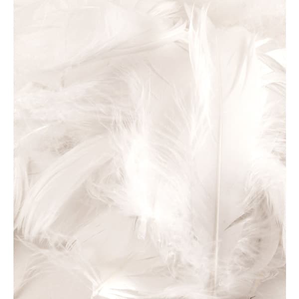 (image for) White Feathers 50g